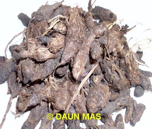Akar Teki